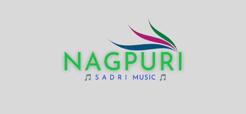 nagpurisadri.com